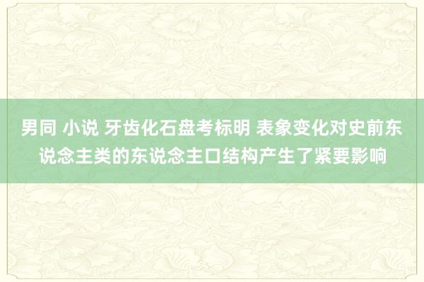 男同 小说 牙齿化石盘考标明 表象变化对史前东说念主类的东说念主口结构产生了紧要影响