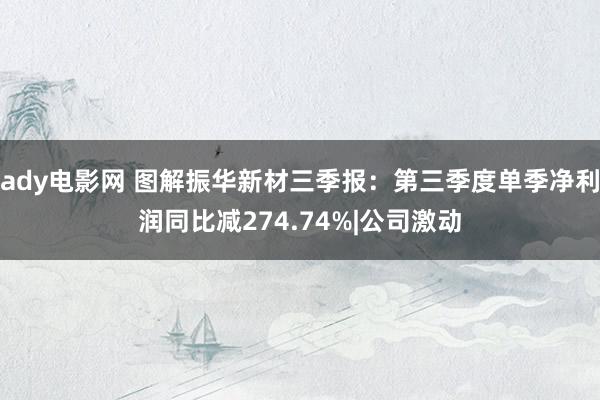 ady电影网 图解振华新材三季报:第三季度单季净利润同比减274.74%|公司激动