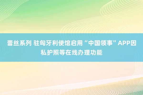 蕾丝系列 驻匈牙利使馆启用“中国领事”APP因私护照等在线办理功能