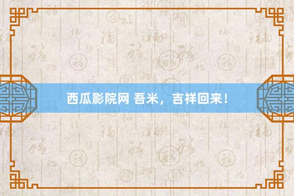西瓜影院网 吾米，吉祥回来！