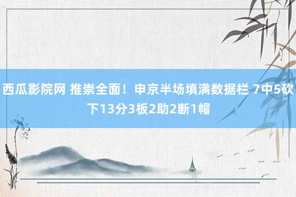 西瓜影院网 推崇全面！申京半场填满数据栏 7中5砍下13分3板2助2断1帽