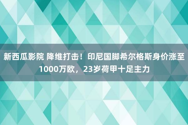 新西瓜影院 降维打击！印尼国脚希尔格斯身价涨至1000万欧，23岁荷甲十足主力