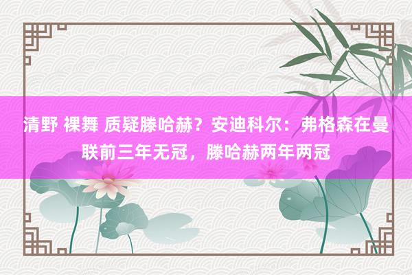 清野 裸舞 质疑滕哈赫？安迪科尔：弗格森在曼联前三年无冠，滕哈赫两年两冠