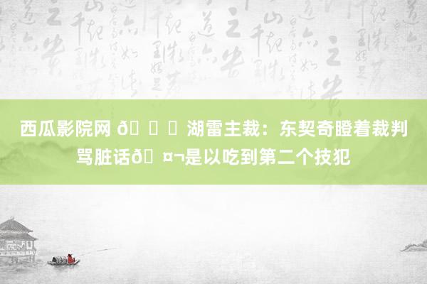 西瓜影院网 👀湖雷主裁：东契奇瞪着裁判骂脏话🤬是以吃到第二个技犯